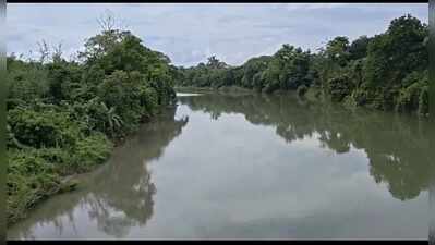 Crocs spotted in Longa River, panic grips villages in Dotma