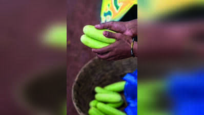 State to file GI application for ‘Pipyri’ cucumber