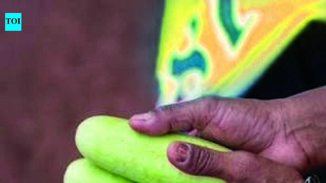 State to file GI application for ‘Pipyri' cucumber