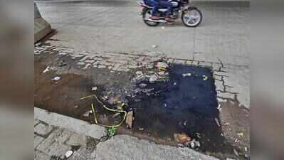 Dengue and chikungunya cases surge in Pune following rain break; PMC intensifies anti-larval drives