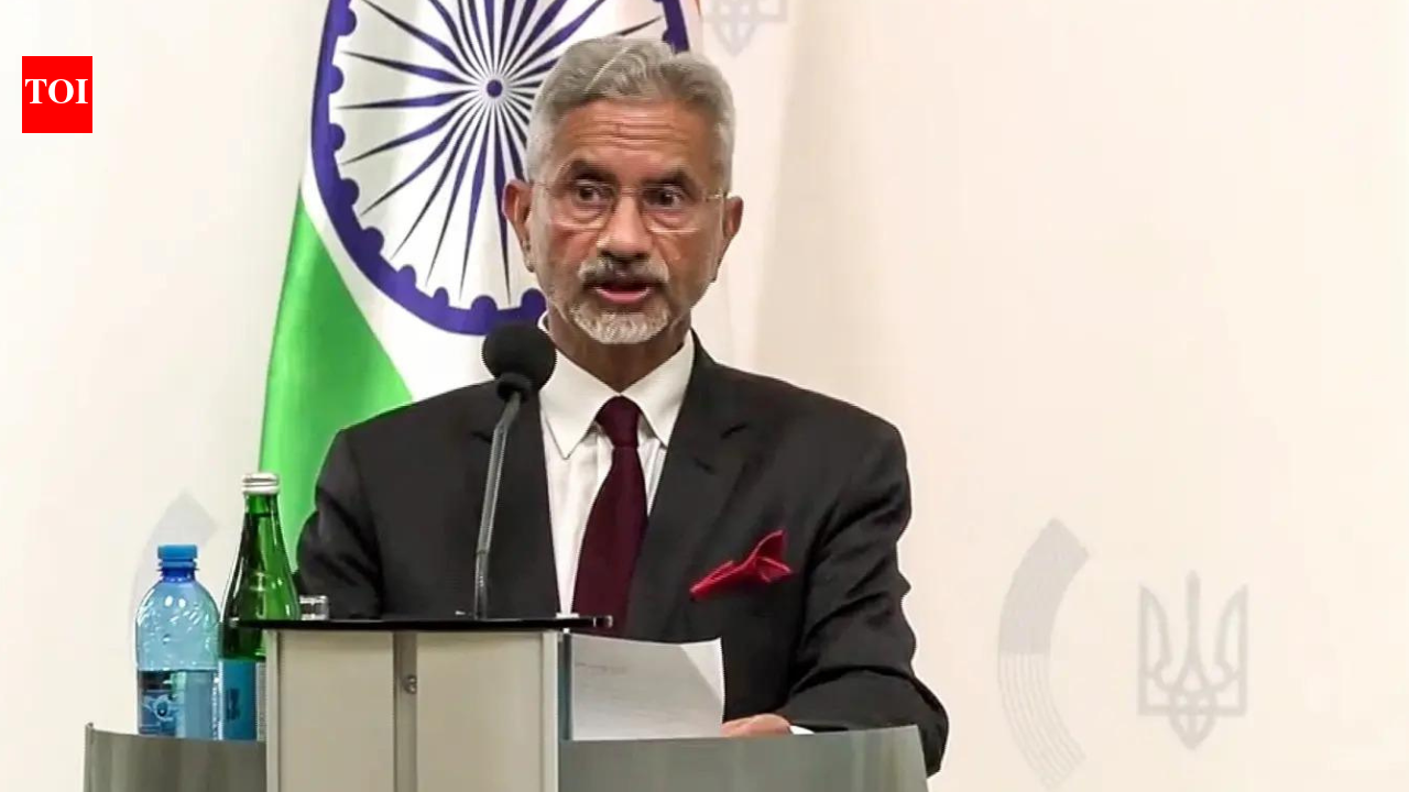 India working with Moscow, Kyiv to end war: EAM