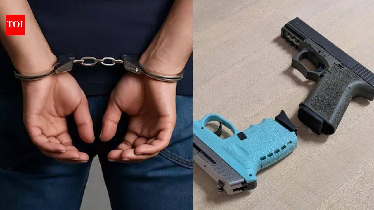 Pizza, meth & guns: Indian illegally living in US charged with drug trafficking