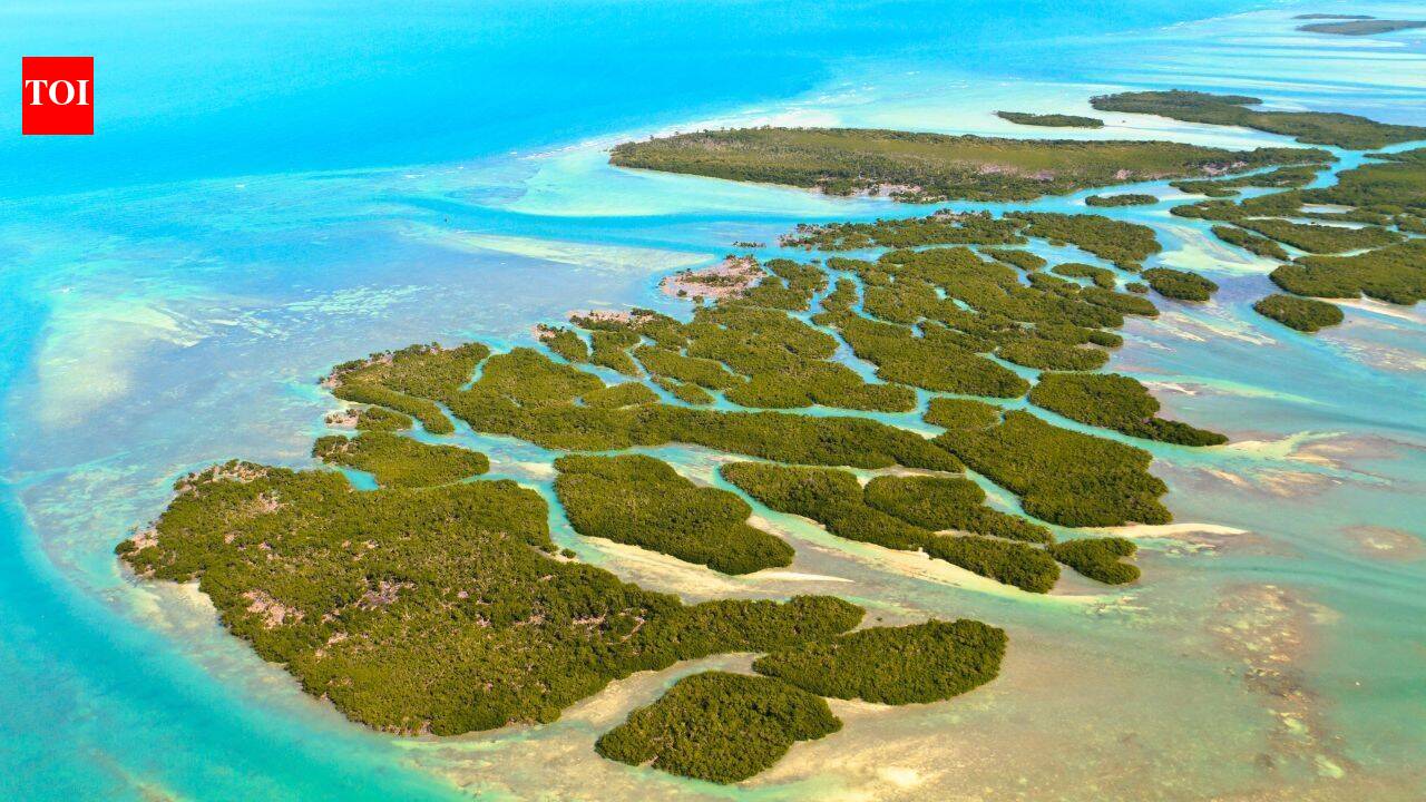 Florida Keys island heirs win decades-long fight over right to build after 70 years