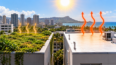 In 2018, a University of Hawaii study compared green and white roofs in Honolulu and found green roofs stayed cooler during the hottest hours