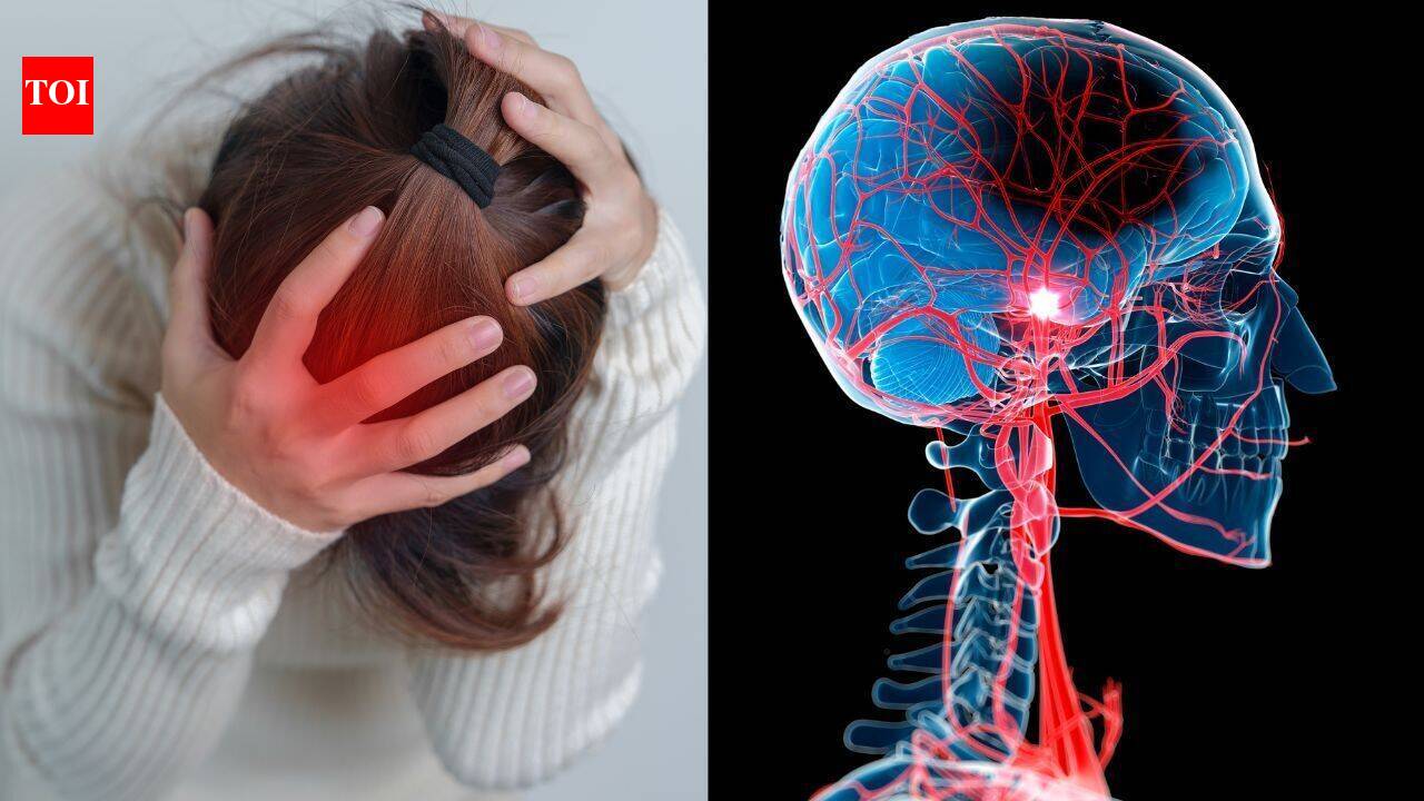 Scientists discovered a way to reprogram the immune system to rebuild brain tissue after a stroke