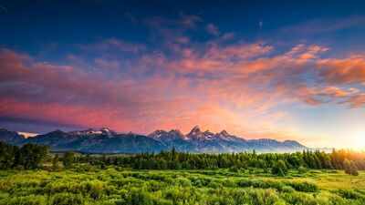 Scientists reconstructed a Wyoming forest from 56-million-year-old fossil leaves; it lost about 60% of its canopy during ancient warming and took more than 100,000 years to recover