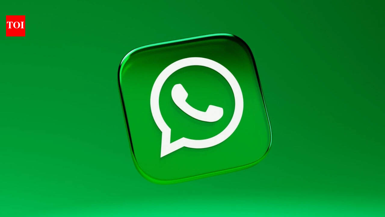 what-information-does-whatsapp-collect-when-you-contact-the-support