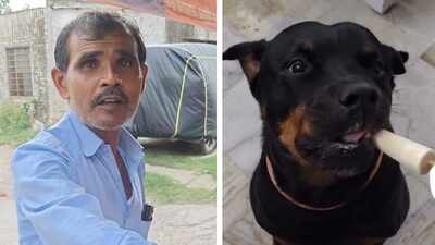 Watch: Why this Jaipur kulfi seller is making special sugar-free kulfi just for dogs