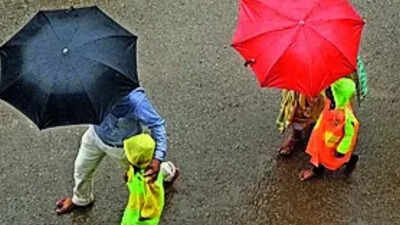 Hyderabad sees rise in viral fever, flu cases amid prolonged monsoon