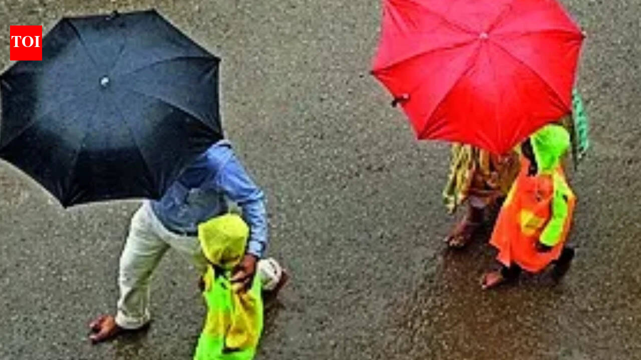 Hyderabad sees rise in viral fever, flu cases amid prolonged monsoon