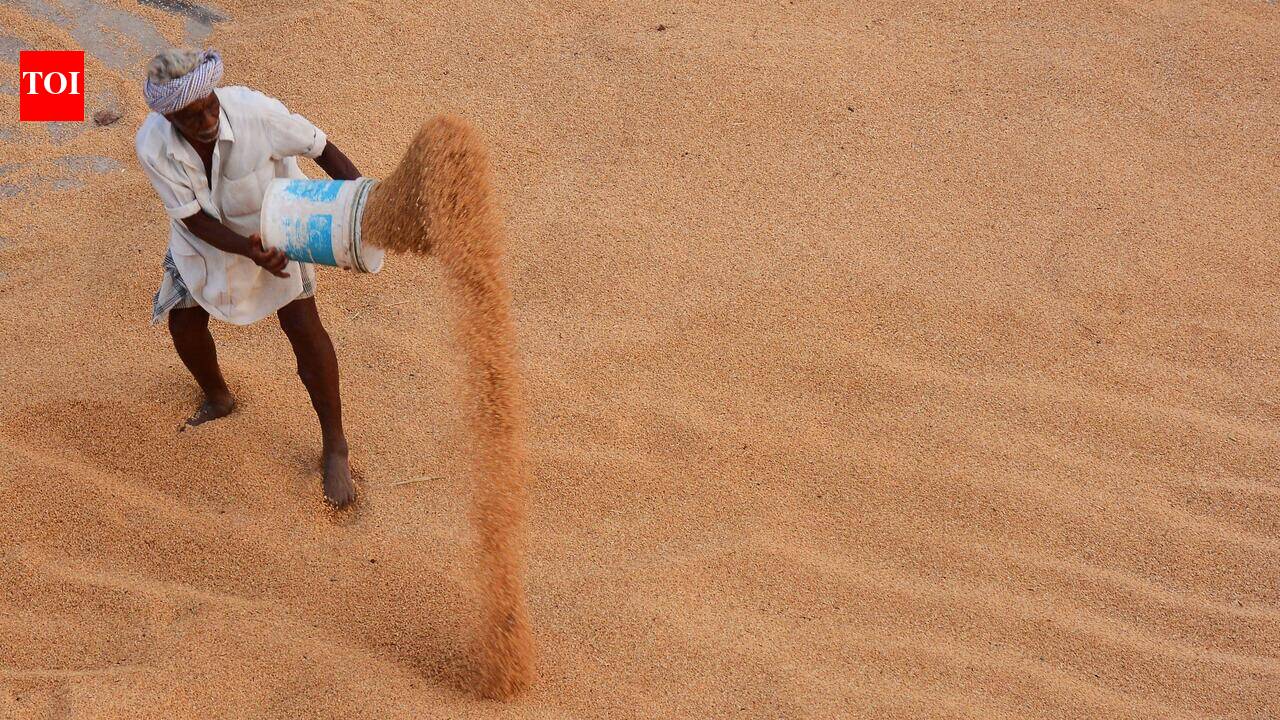 Punjab relaxes norms for mills to make space for fresh paddy