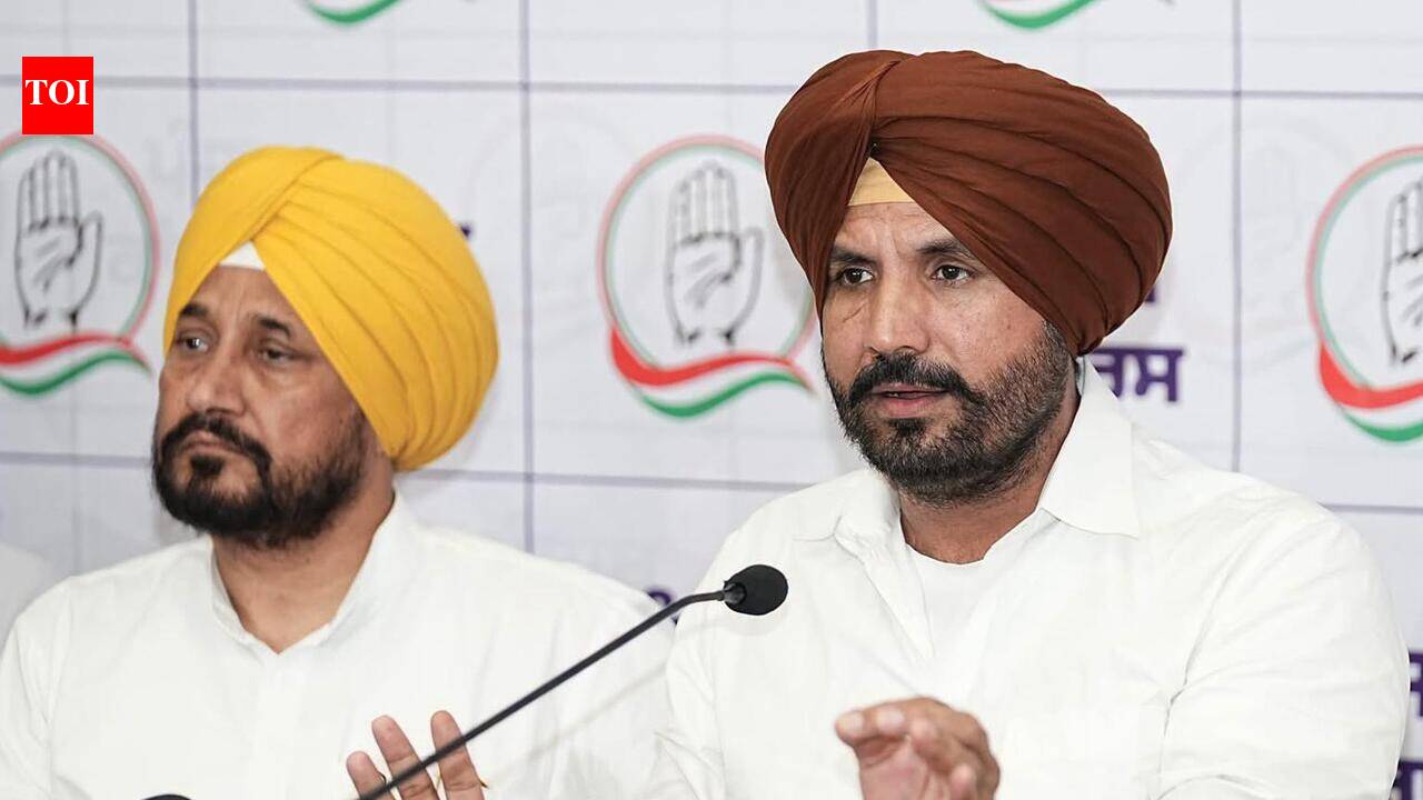 ‘Koi aave, Koi jaave’: Warring says he will continue to fight amid leadership change buzz