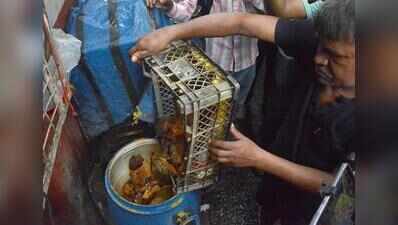 Kolkata to host food safety workshop for resto staff