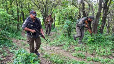 J&K Police identify slain terrorist as Pak national