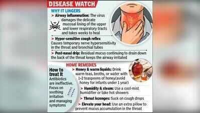 Kolkata croaks its way through temp swings after viral surge onslaught
