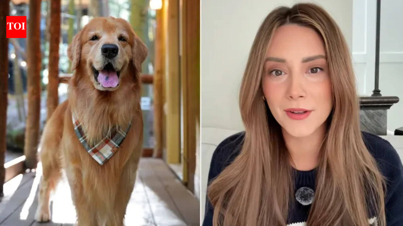 TikTok Dog Dies At 8: Internet star Tucker Budzyn dies after chemo complication; fans mourn online