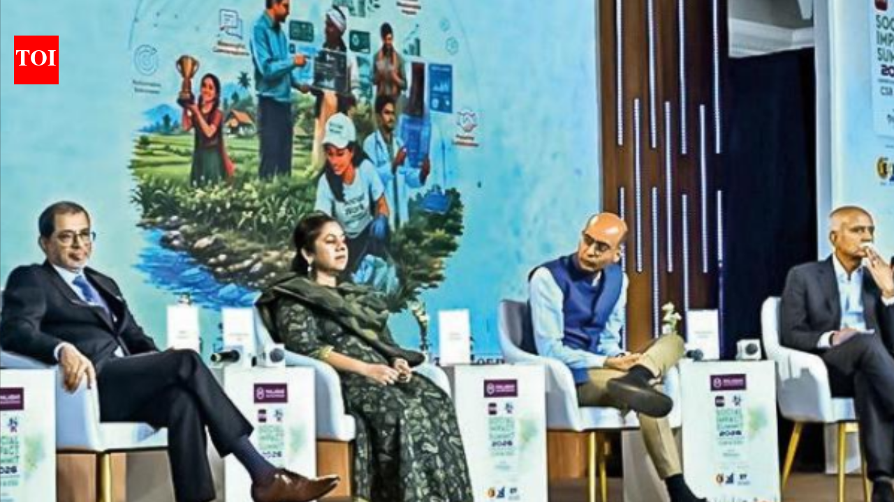 TOI Social Impact Summit: 'Tech could bridge edu divide if personalised, won’t replace teachers'