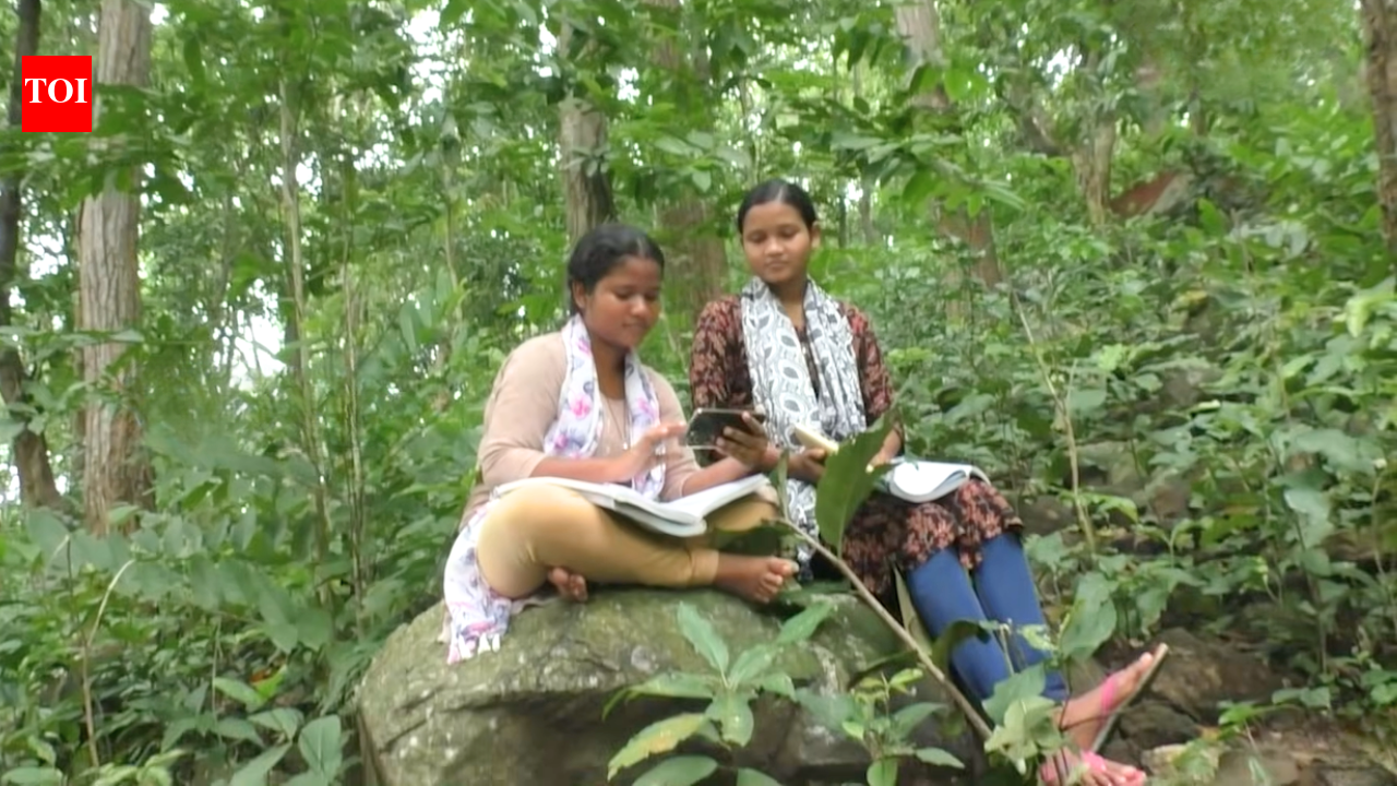 Odisha sisters clear NEET 2026 together without coaching