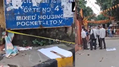 Man stabbed to death in Delhi's Mayur Vihar Phase 3; security guard attacked while intervening