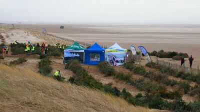 In 2013, a UK beach began planting discarded Christmas trees to trap blowing sand; by 2026, the project had created 90 metres of new dunes that help defend homes from flooding