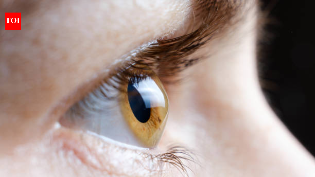 What is corneal blindness, and why is it one of India’s most reversible causes of vision loss