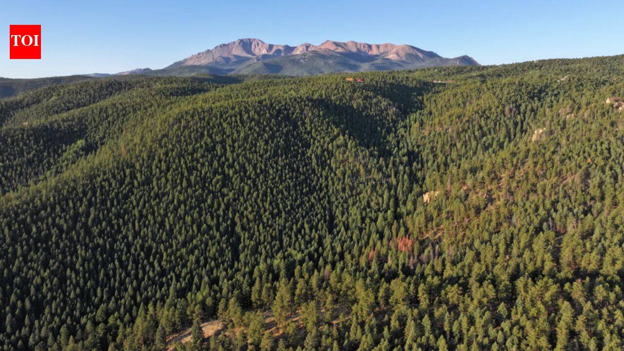 Colorado ranch listed for $5.9M as development site, bought by conservationists instead