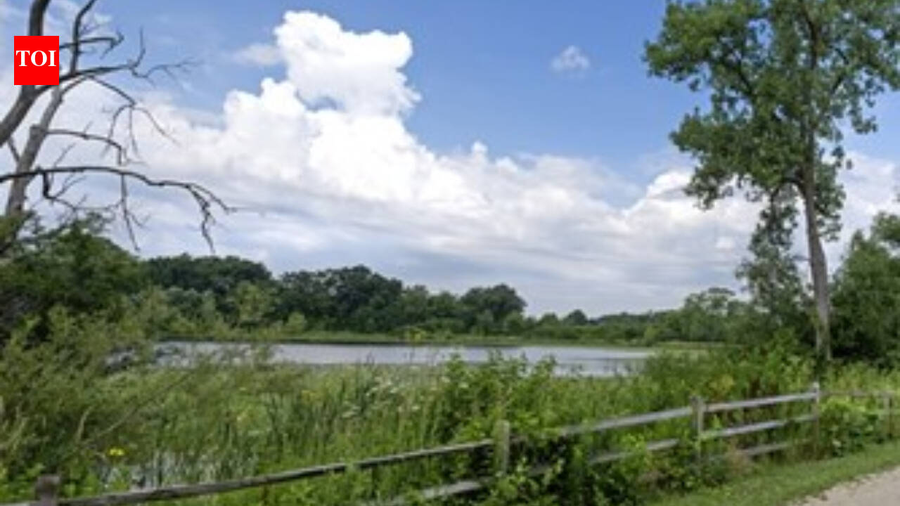 A five-year Illinois project will restore 421 acres of wetlands, prairie and woodland while helping hold stormwater, part of an $11 million effort along 67 miles of river