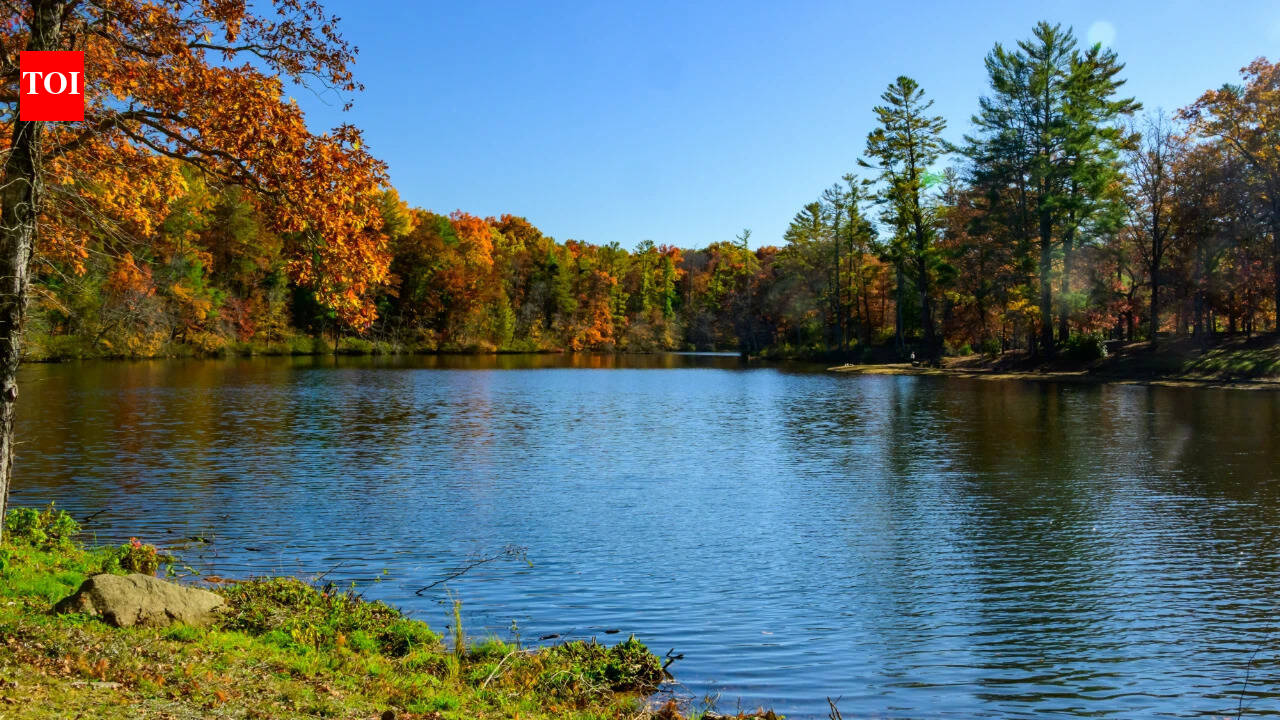 How Kentucky protected a vast elk landscape