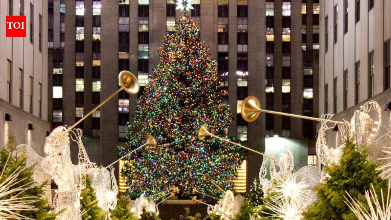 Since 2007, Rockefeller Center Christmas tree lumber has helped build homes across the US