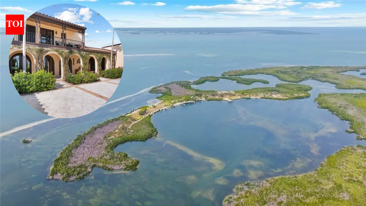 In 2015, Mark Pentecost paid $14.5 million for a 104-acre Florida island; after pouring millions...