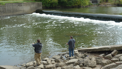 After Ohio removed Brecksville Dam in 2020, free-flowing habitat linked to Lake Erie more than doubled to 71 km; scientists later found 15 newly detected fish taxa downstream