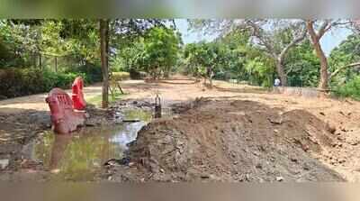 Once green retreat, Sidhwan waterfront now lies neglected