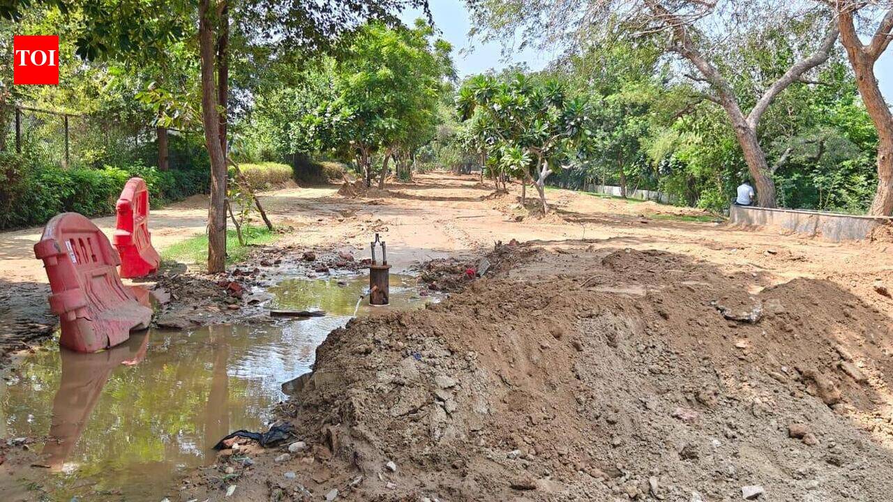 Once green retreat, Sidhwan waterfront now lies neglected