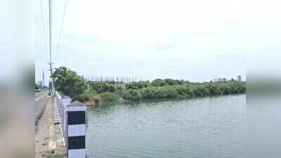 Constructions take shape along mangrove cover in Kovalam creek