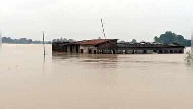 Snakebite death, boar attacks deepen flood woes in Danapur diara