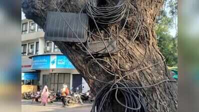 Dangling cables choke Tambaram; underground network project drags on