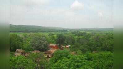 Ranthambore forest officials penalise repeat trespassers in restricted areas