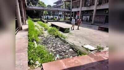 Crores spent, Sector 17 crumbles: Chandigarh’s ‘heart’ loses its sheen