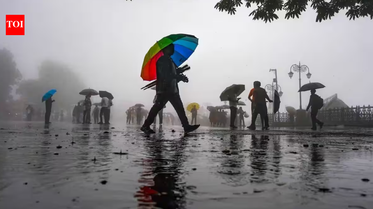 Weather tomorrow: IMD forecasts heavy to very heavy rain in West Bengal; moderate rain likely in Tamil Nadu, Uttarakhand