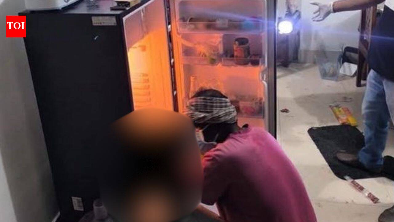 'Head in fridge, fingers cut off': Husband brutally murders wife, then surrenders