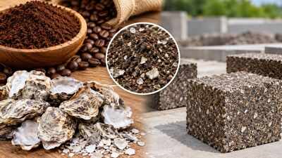 Scientists mixed waste coffee grounds with oyster shells to create a stronger construction material from two food wastes