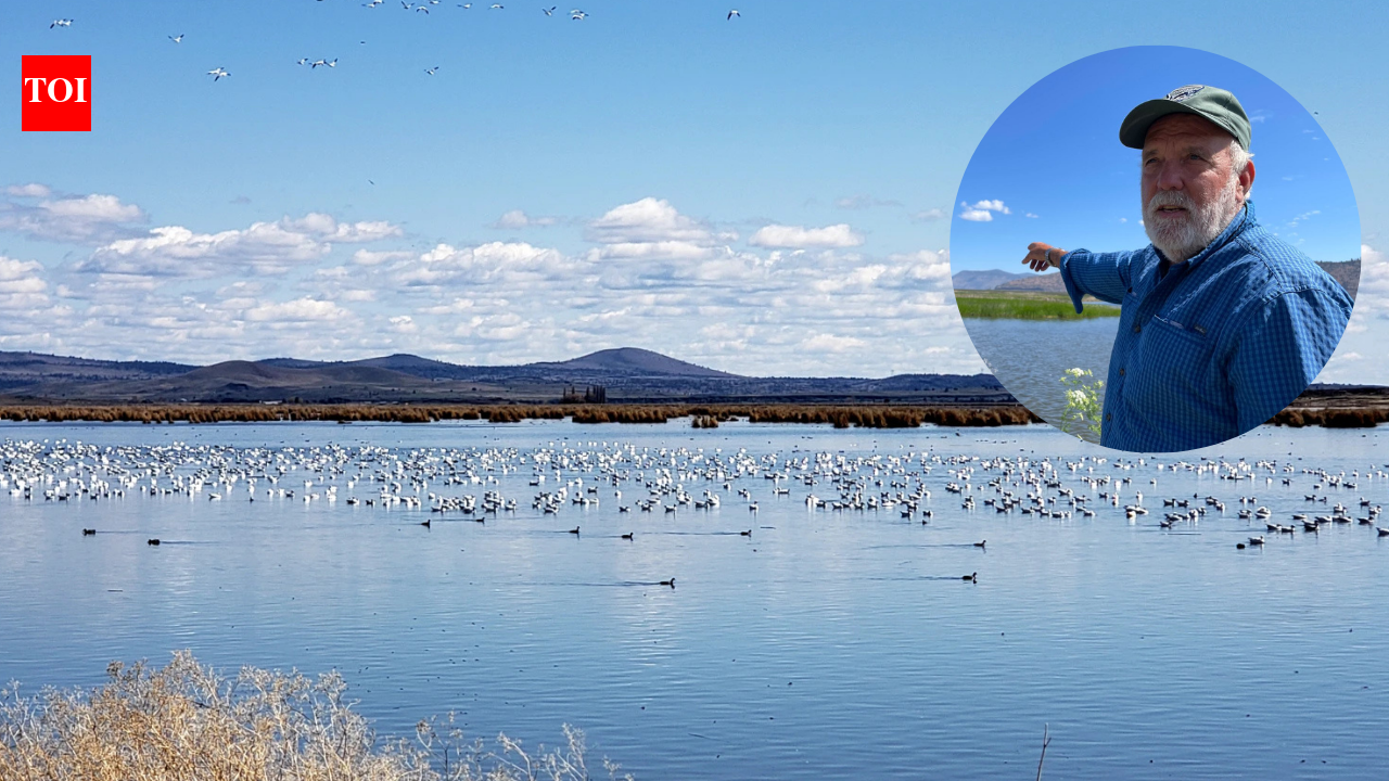Oregon farmer turned 70 acres into a wetland; endangered fish and 140 birds thrive