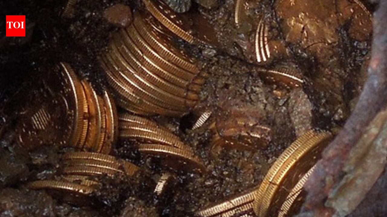 In 2013, a California couple found $10 million in gold coins while walking their dog: The mystery of the buried fortune