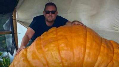 Essex gardener grows 1,200lb pumpkin named Gladys that gained more than 40lb in a single night: ‘Feels like a father’ to giant vegetable