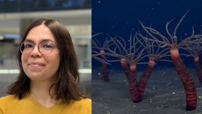 Meet Greta Ramirez-Guerrero: The Canadian PhD student who helped reveal a 450-million-year-old jellyfish relative hiding in Quebec rocks