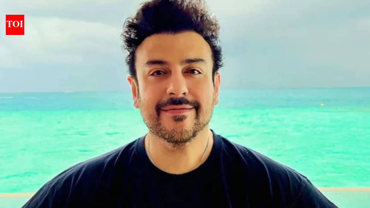 Adnan says it was never difficult to find work in India as Pakistani
