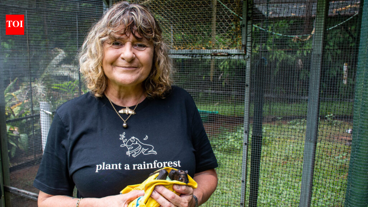 Australian woman planted 119,000 trees on cleared land; 10 years later, rainforest returns