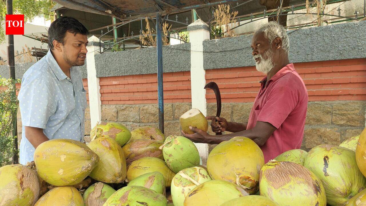 Tender coconut prices soar as demand outpaces supply in Trichy