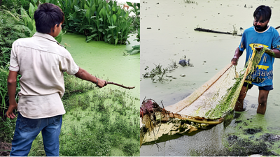 Fishing in a DDA park? Stagnant rainwater turns Kailash Vihar park into unlikely weekend spot