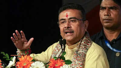 'I apologise': Bengal CM Adhikari after govt ad sparks row over 'distorted' Durga image